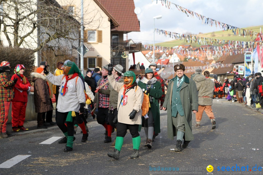 Narrentreffen - NV Kamelia: Tengen am Bodensee, 03.02.2013