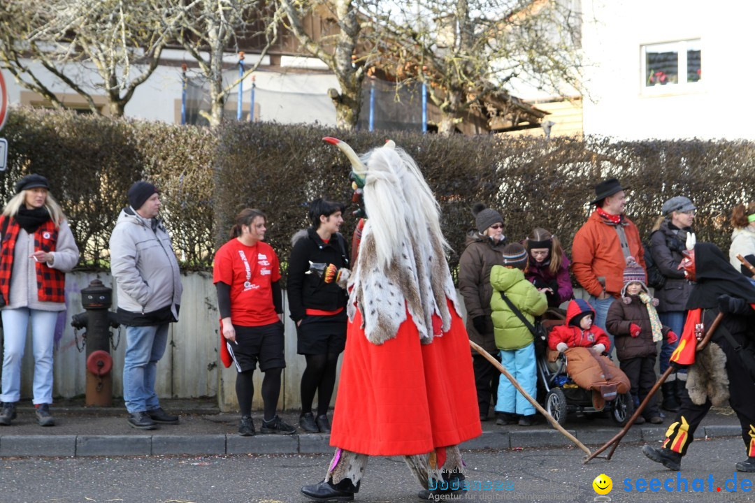 Narrentreffen - NV Kamelia: Tengen am Bodensee, 03.02.2013