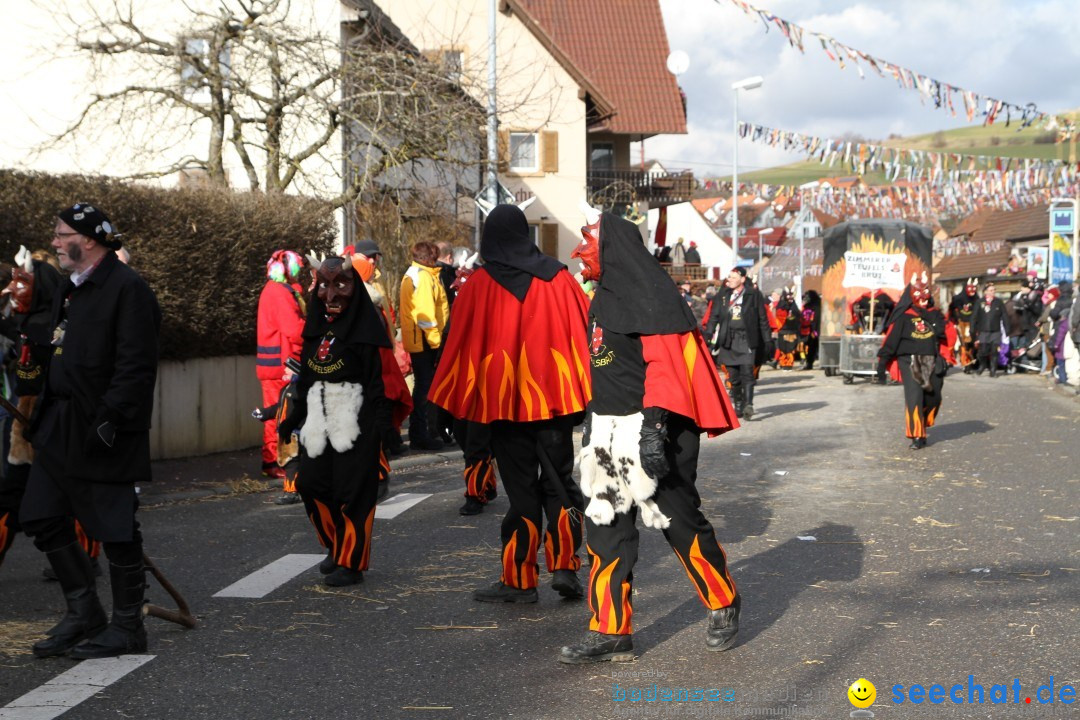 Narrentreffen - NV Kamelia: Tengen am Bodensee, 03.02.2013