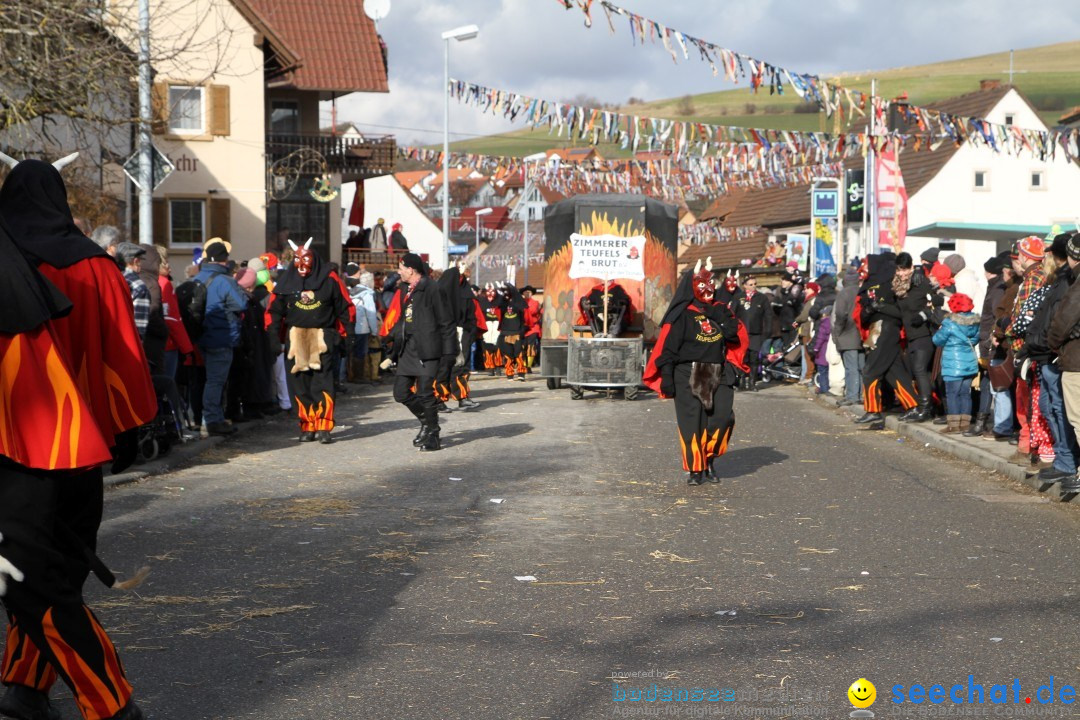 Narrentreffen - NV Kamelia: Tengen am Bodensee, 03.02.2013