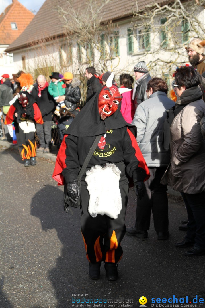 Narrentreffen - NV Kamelia: Tengen am Bodensee, 03.02.2013