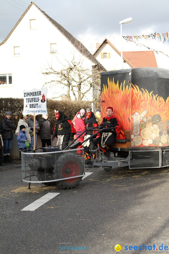 Narrentreffen - NV Kamelia: Tengen am Bodensee, 03.02.2013