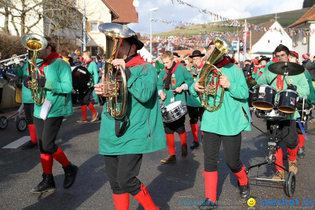 Narrentreffen - NV Kamelia: Tengen am Bodensee, 03.02.2013