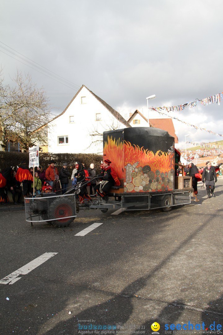 Narrentreffen - NV Kamelia: Tengen am Bodensee, 03.02.2013