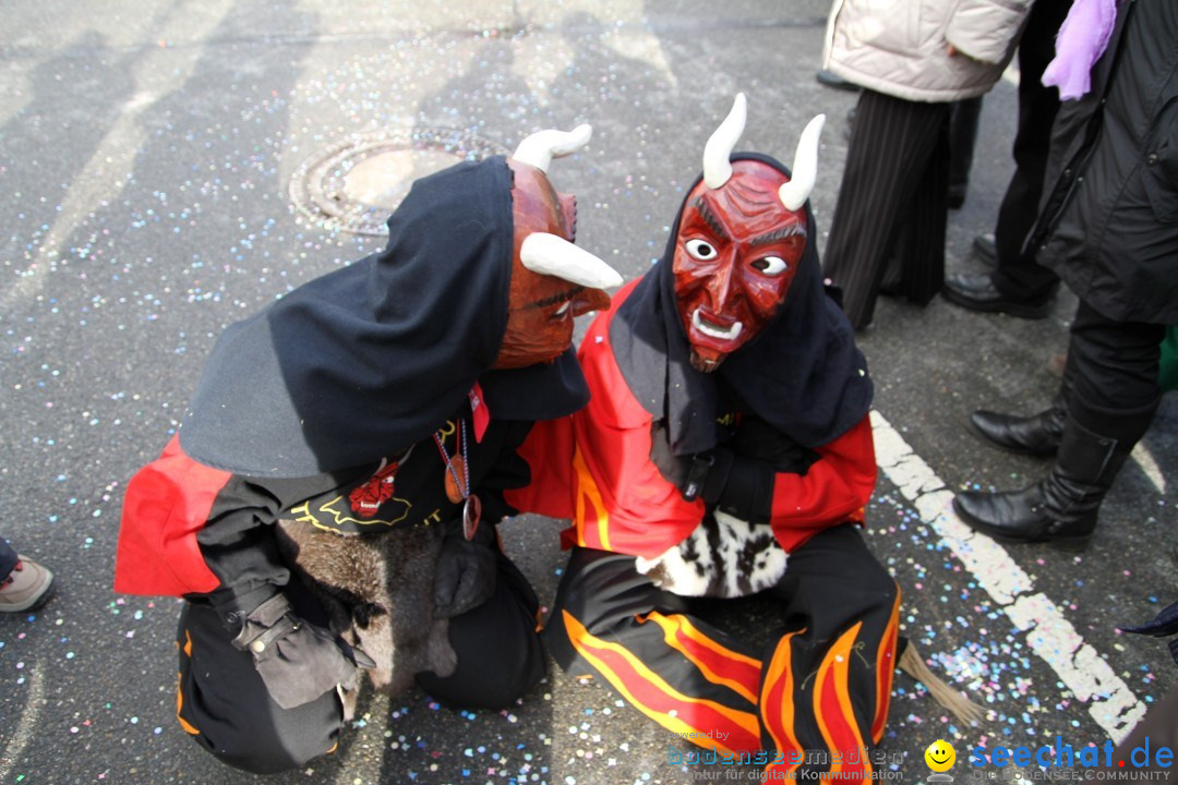 Narrentreffen - NV Kamelia: Tengen am Bodensee, 03.02.2013