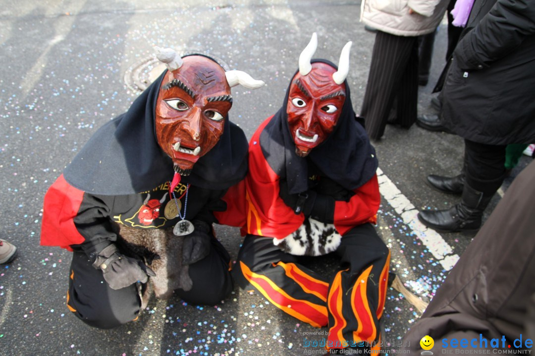 Narrentreffen - NV Kamelia: Tengen am Bodensee, 03.02.2013