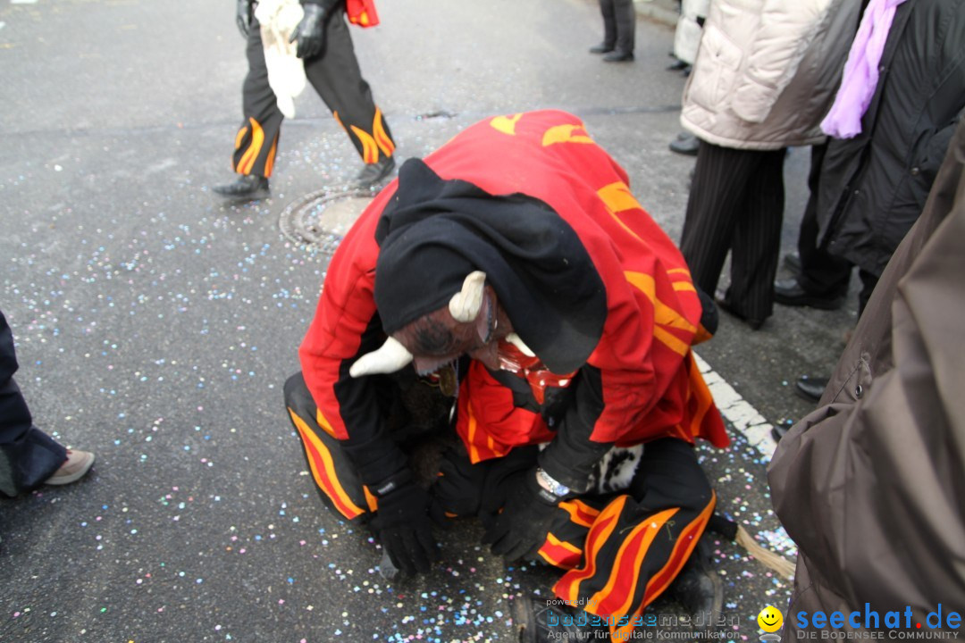 Narrentreffen - NV Kamelia: Tengen am Bodensee, 03.02.2013