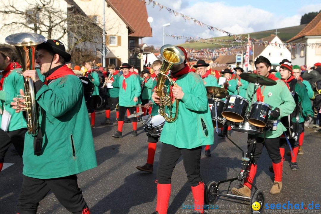 Narrentreffen - NV Kamelia: Tengen am Bodensee, 03.02.2013