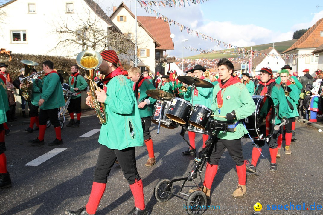 Narrentreffen - NV Kamelia: Tengen am Bodensee, 03.02.2013