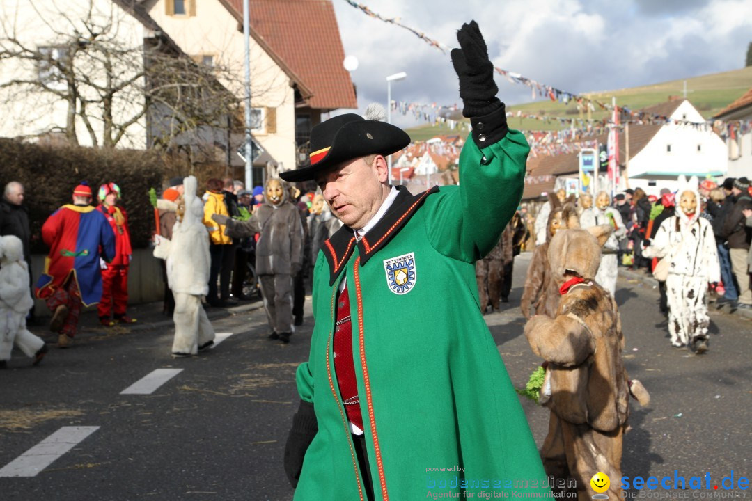 Narrentreffen - NV Kamelia: Tengen am Bodensee, 03.02.2013