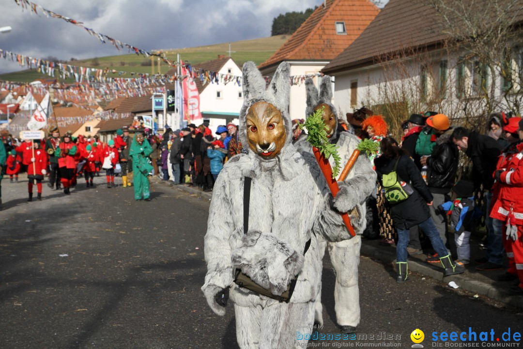 Narrentreffen - NV Kamelia: Tengen am Bodensee, 03.02.2013