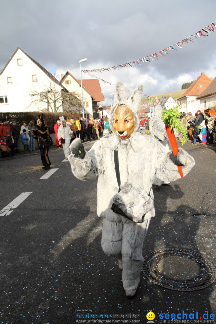 Narrentreffen - NV Kamelia: Tengen am Bodensee, 03.02.2013