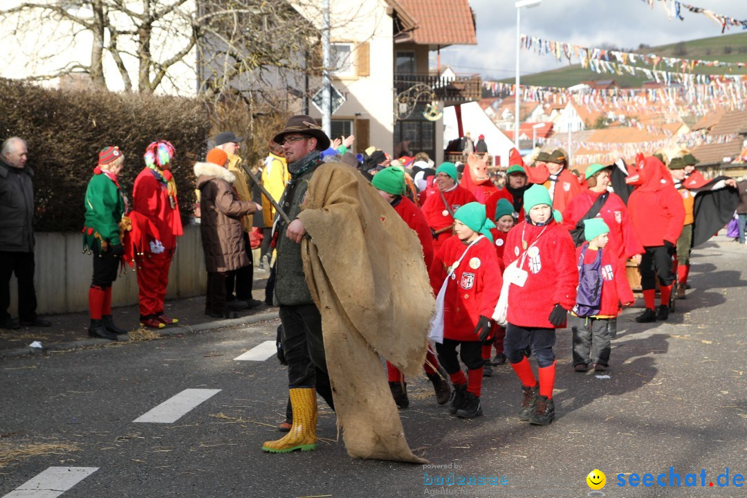 Narrentreffen - NV Kamelia: Tengen am Bodensee, 03.02.2013