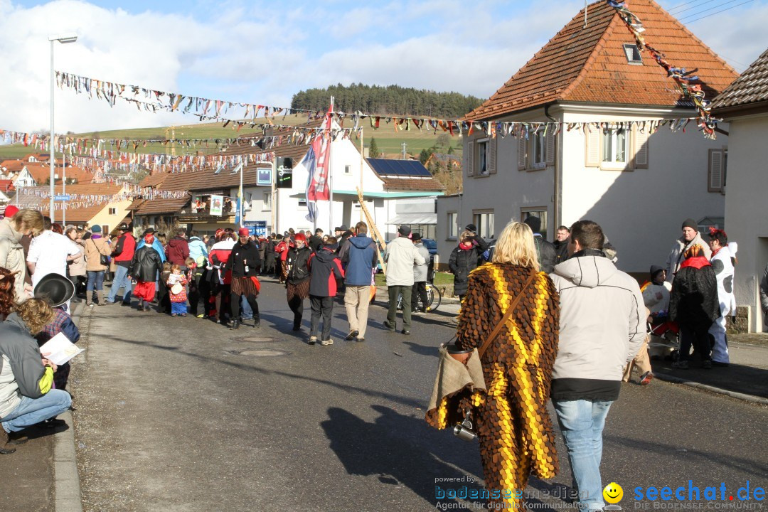 Narrentreffen - NV Kamelia: Tengen am Bodensee, 03.02.2013