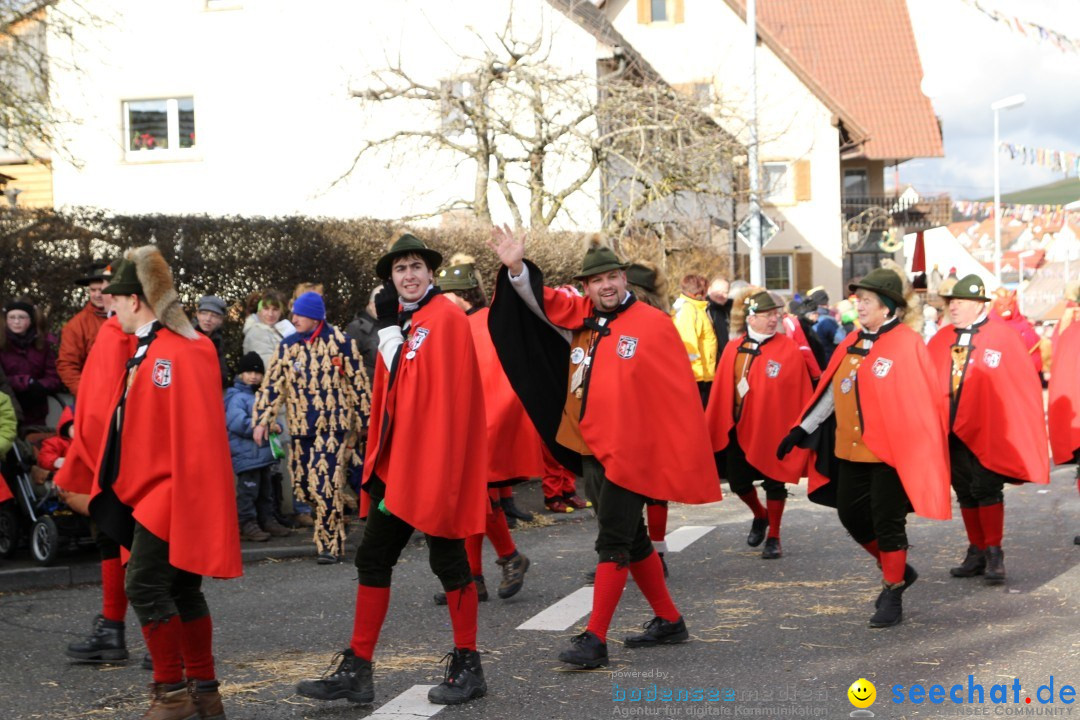 Narrentreffen - NV Kamelia: Tengen am Bodensee, 03.02.2013