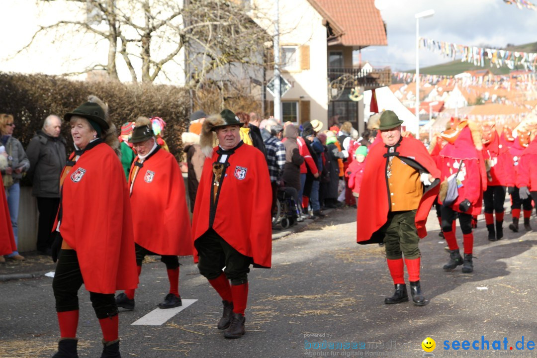 Narrentreffen - NV Kamelia: Tengen am Bodensee, 03.02.2013