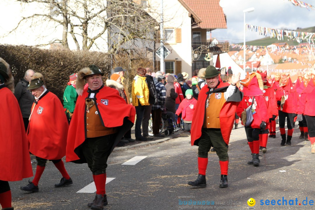 Narrentreffen - NV Kamelia: Tengen am Bodensee, 03.02.2013