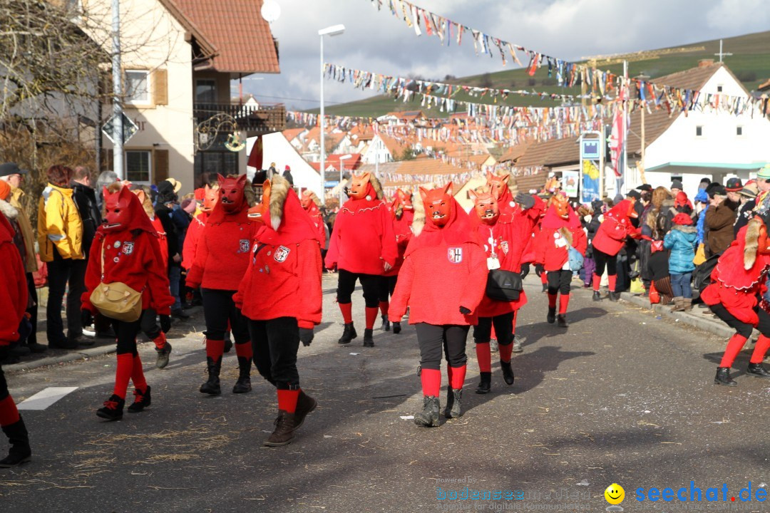 Narrentreffen - NV Kamelia: Tengen am Bodensee, 03.02.2013