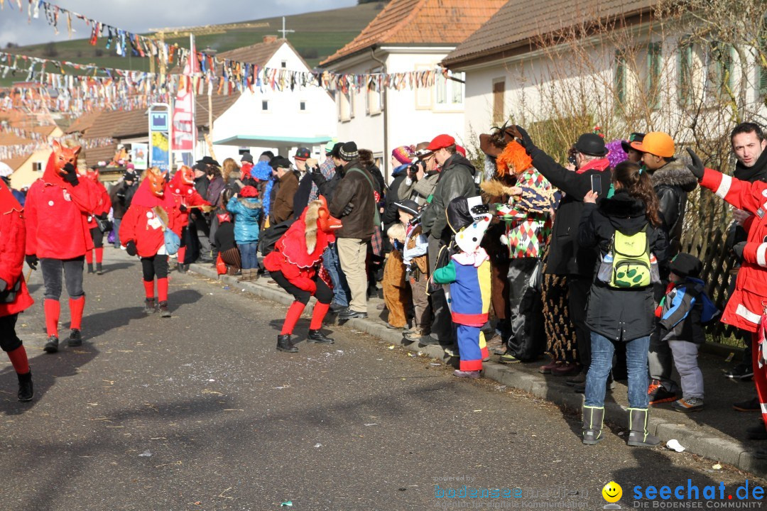 Narrentreffen - NV Kamelia: Tengen am Bodensee, 03.02.2013