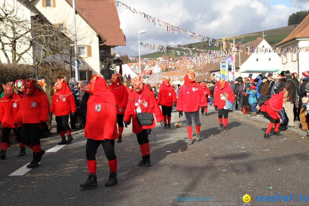 Narrentreffen - NV Kamelia: Tengen am Bodensee, 03.02.2013