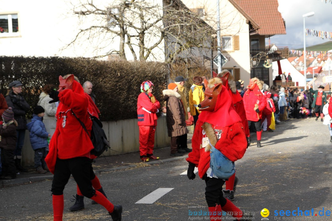 Narrentreffen - NV Kamelia: Tengen am Bodensee, 03.02.2013