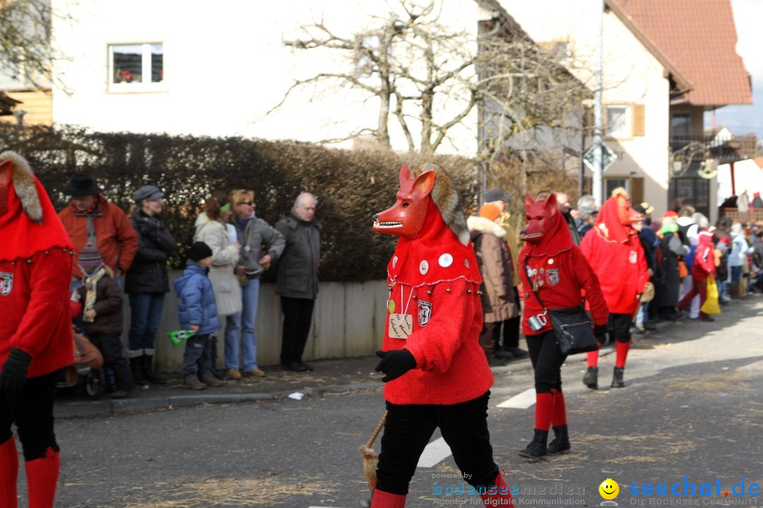 Narrentreffen - NV Kamelia: Tengen am Bodensee, 03.02.2013