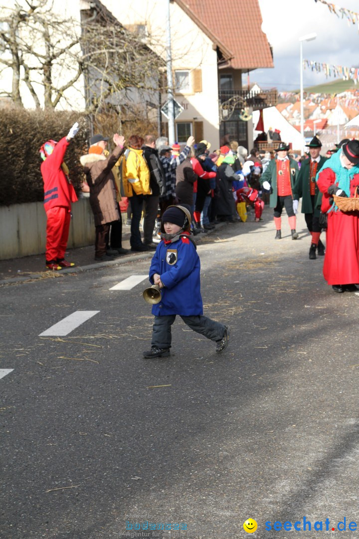 Narrentreffen - NV Kamelia: Tengen am Bodensee, 03.02.2013