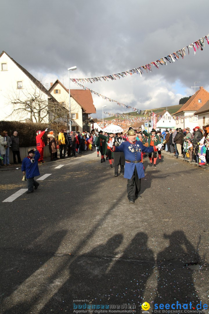 Narrentreffen - NV Kamelia: Tengen am Bodensee, 03.02.2013