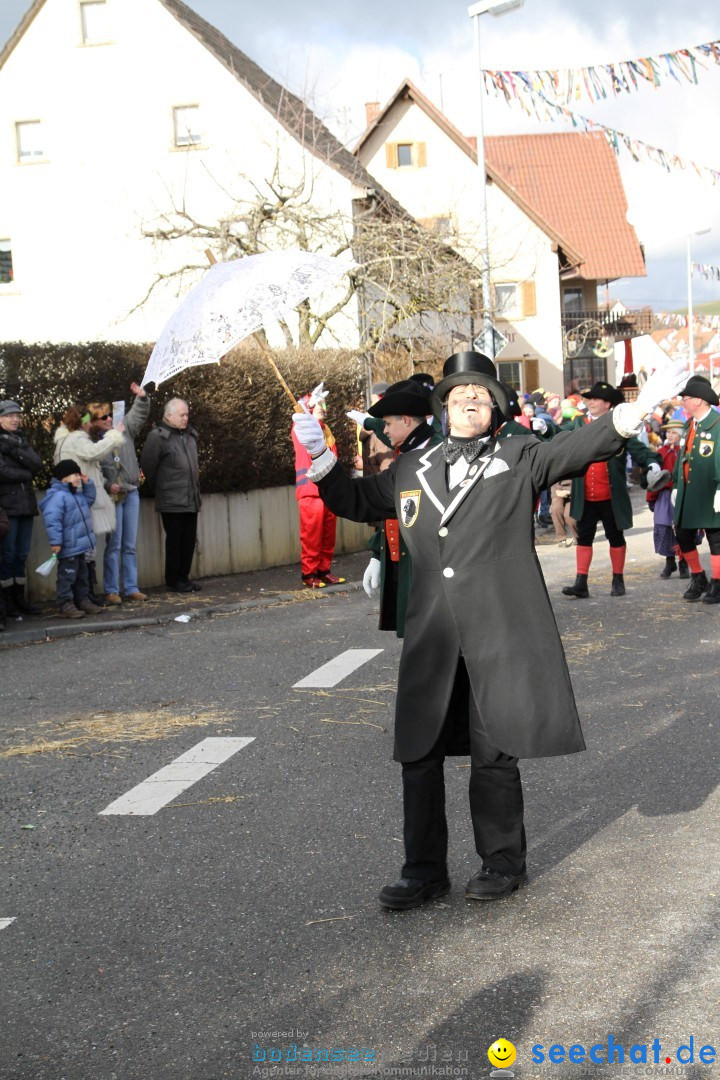 Narrentreffen - NV Kamelia: Tengen am Bodensee, 03.02.2013