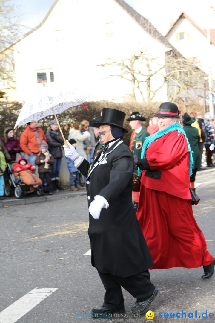 Narrentreffen - NV Kamelia: Tengen am Bodensee, 03.02.2013