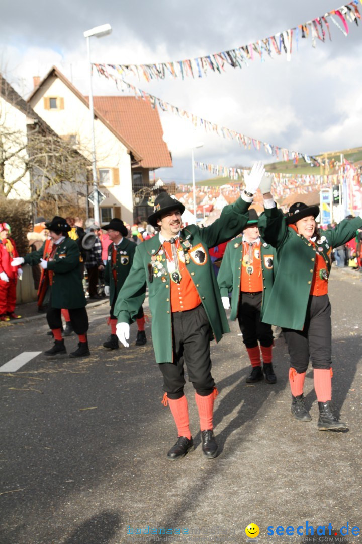 Narrentreffen - NV Kamelia: Tengen am Bodensee, 03.02.2013