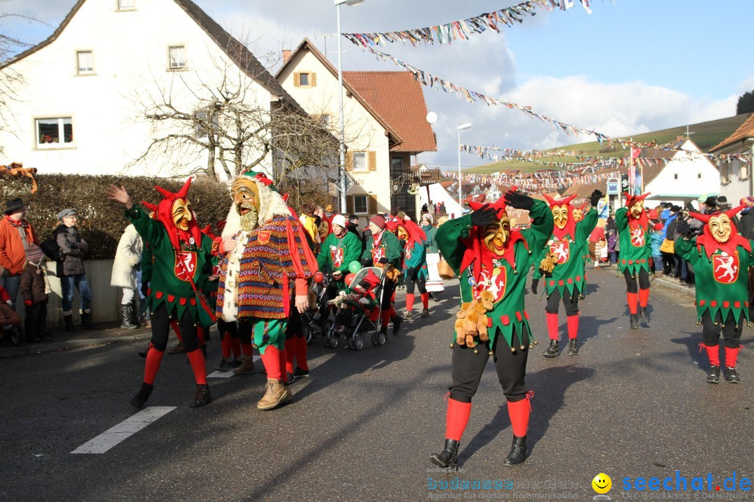 Narrentreffen - NV Kamelia: Tengen am Bodensee, 03.02.2013