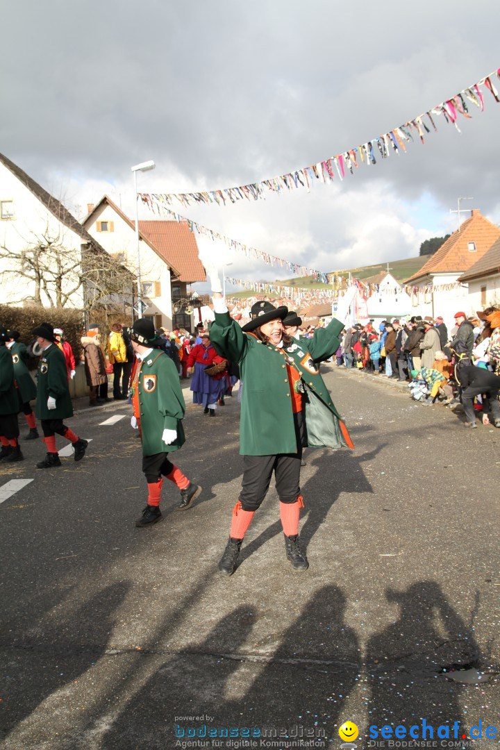 Narrentreffen - NV Kamelia: Tengen am Bodensee, 03.02.2013