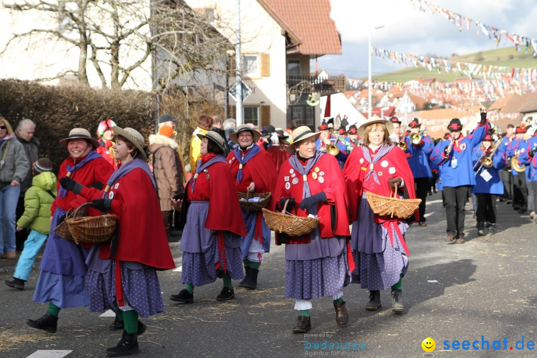 Narrentreffen - NV Kamelia: Tengen am Bodensee, 03.02.2013