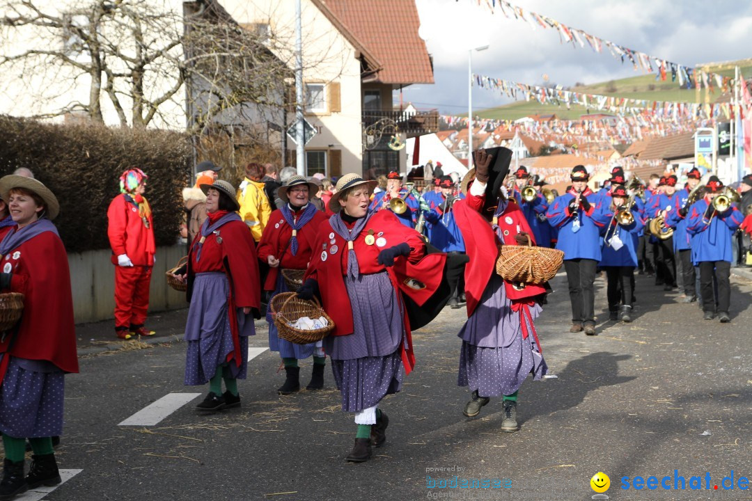 Narrentreffen - NV Kamelia: Tengen am Bodensee, 03.02.2013