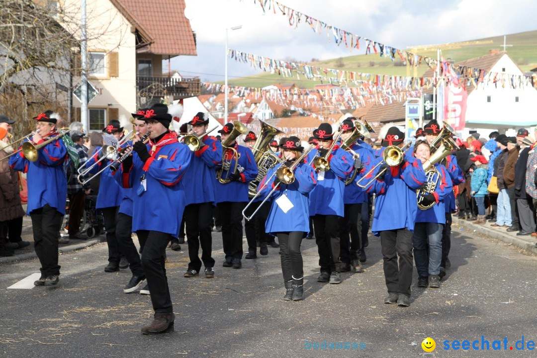 Narrentreffen - NV Kamelia: Tengen am Bodensee, 03.02.2013