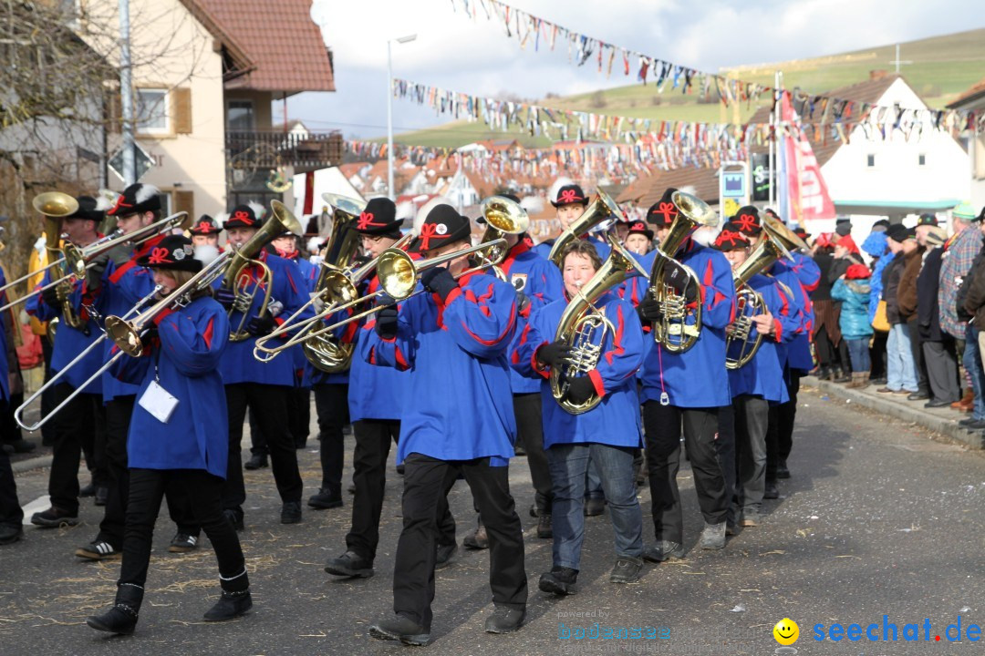 Narrentreffen - NV Kamelia: Tengen am Bodensee, 03.02.2013