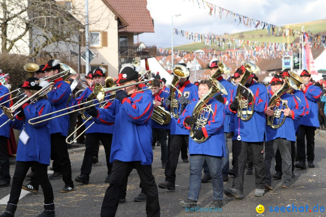 Narrentreffen - NV Kamelia: Tengen am Bodensee, 03.02.2013