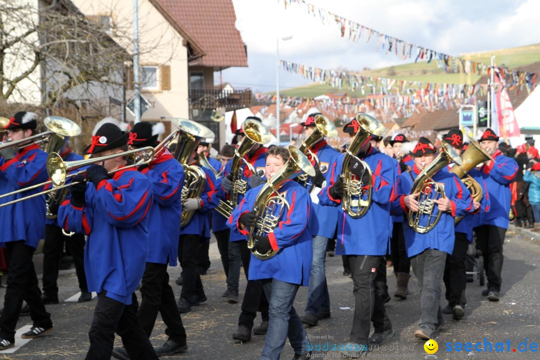 Narrentreffen - NV Kamelia: Tengen am Bodensee, 03.02.2013