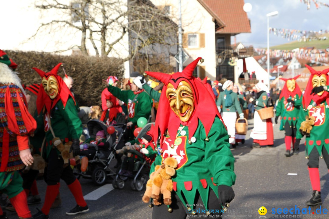 Narrentreffen - NV Kamelia: Tengen am Bodensee, 03.02.2013