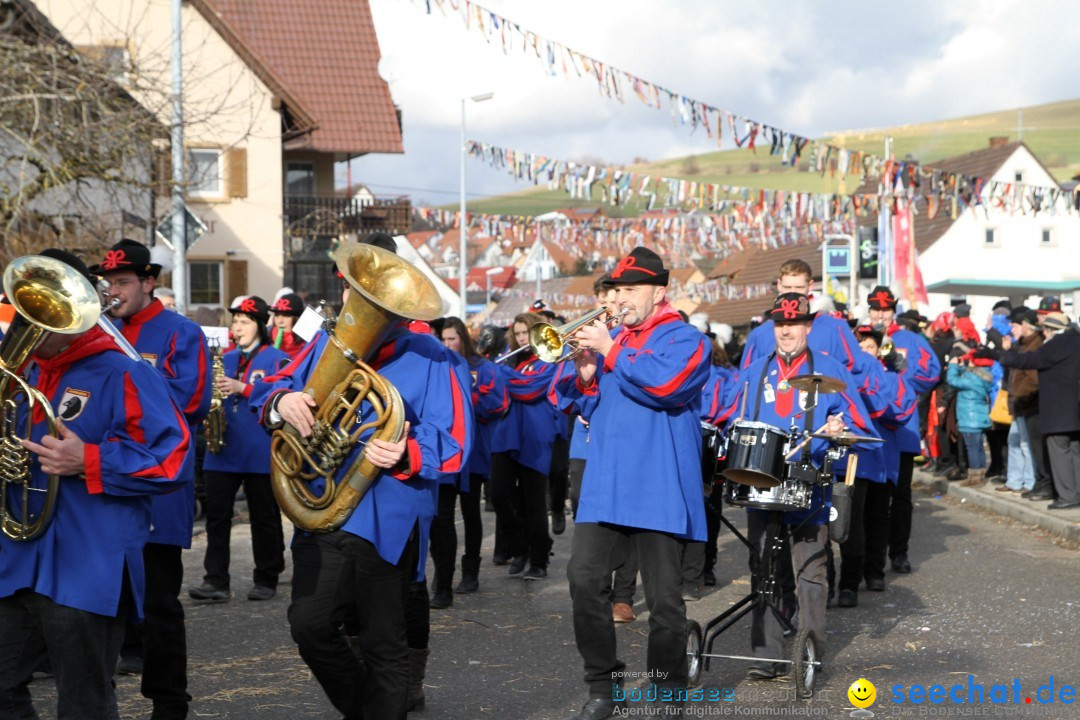 Narrentreffen - NV Kamelia: Tengen am Bodensee, 03.02.2013