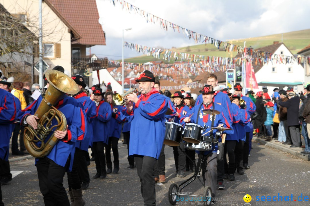 Narrentreffen - NV Kamelia: Tengen am Bodensee, 03.02.2013