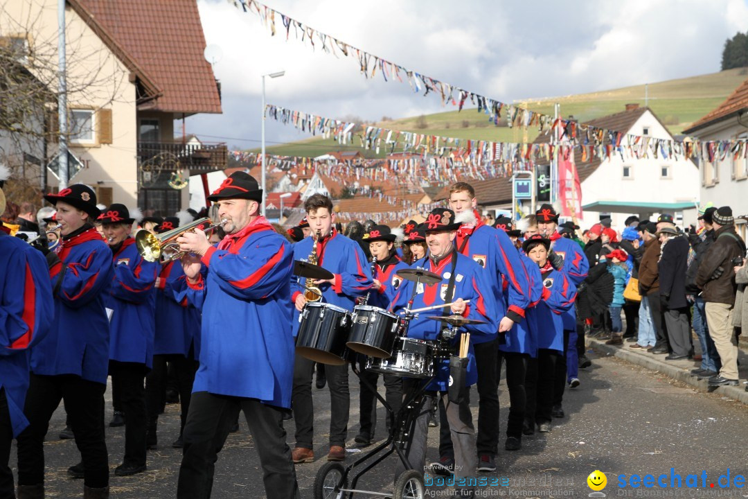 Narrentreffen - NV Kamelia: Tengen am Bodensee, 03.02.2013