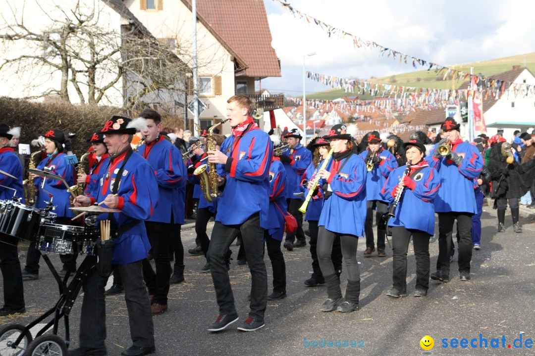 Narrentreffen - NV Kamelia: Tengen am Bodensee, 03.02.2013