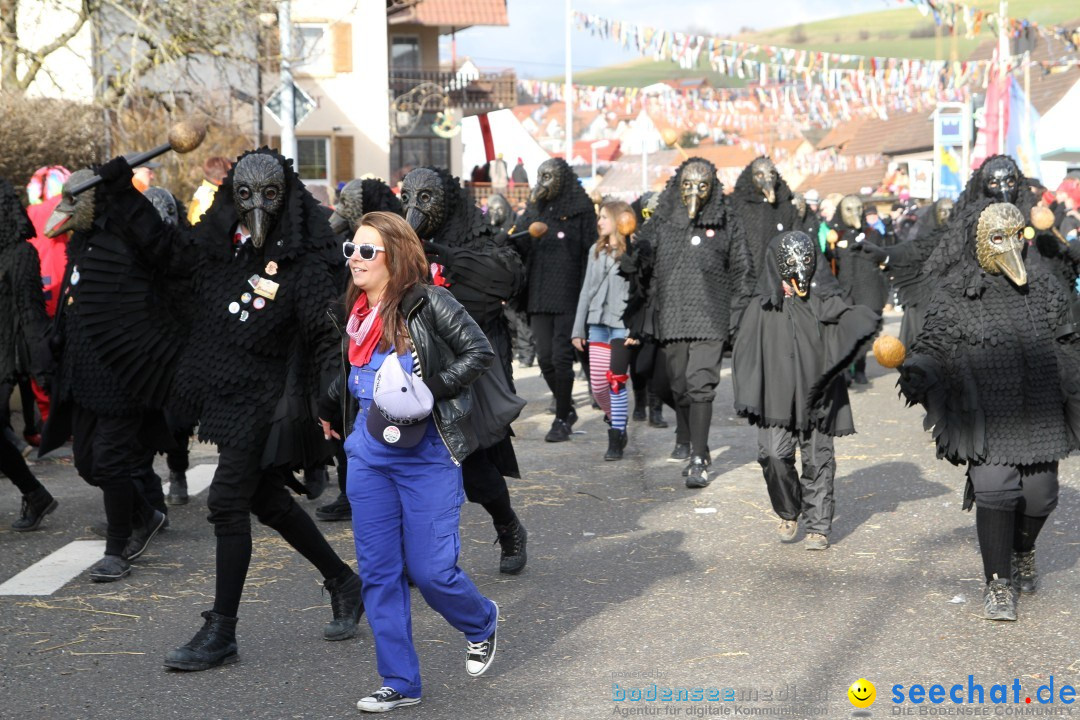 Narrentreffen - NV Kamelia: Tengen am Bodensee, 03.02.2013