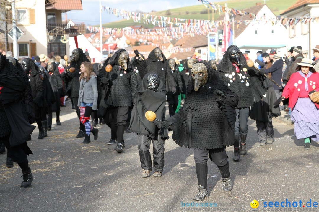 Narrentreffen - NV Kamelia: Tengen am Bodensee, 03.02.2013