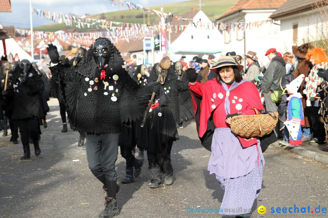 Narrentreffen - NV Kamelia: Tengen am Bodensee, 03.02.2013