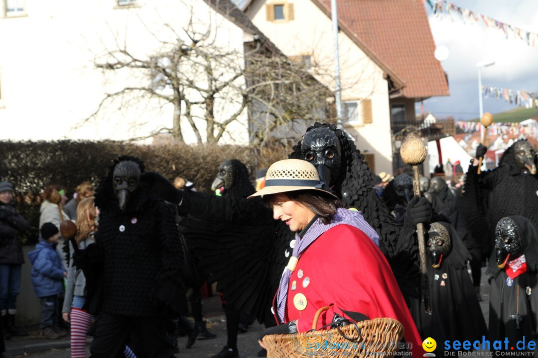 Narrentreffen - NV Kamelia: Tengen am Bodensee, 03.02.2013