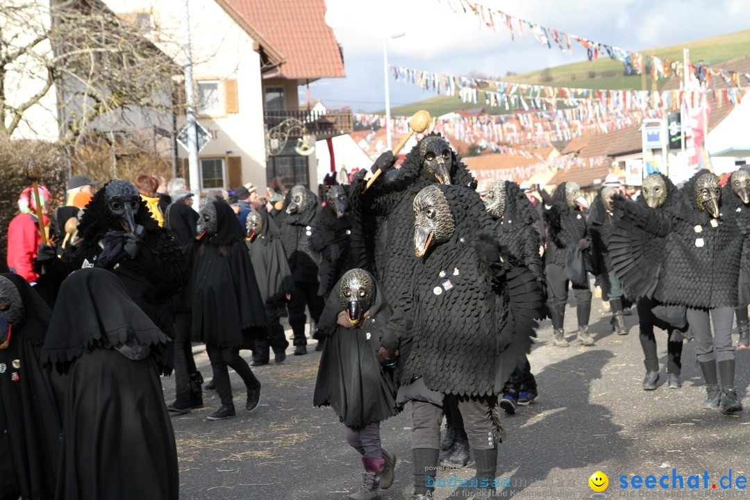 Narrentreffen - NV Kamelia: Tengen am Bodensee, 03.02.2013