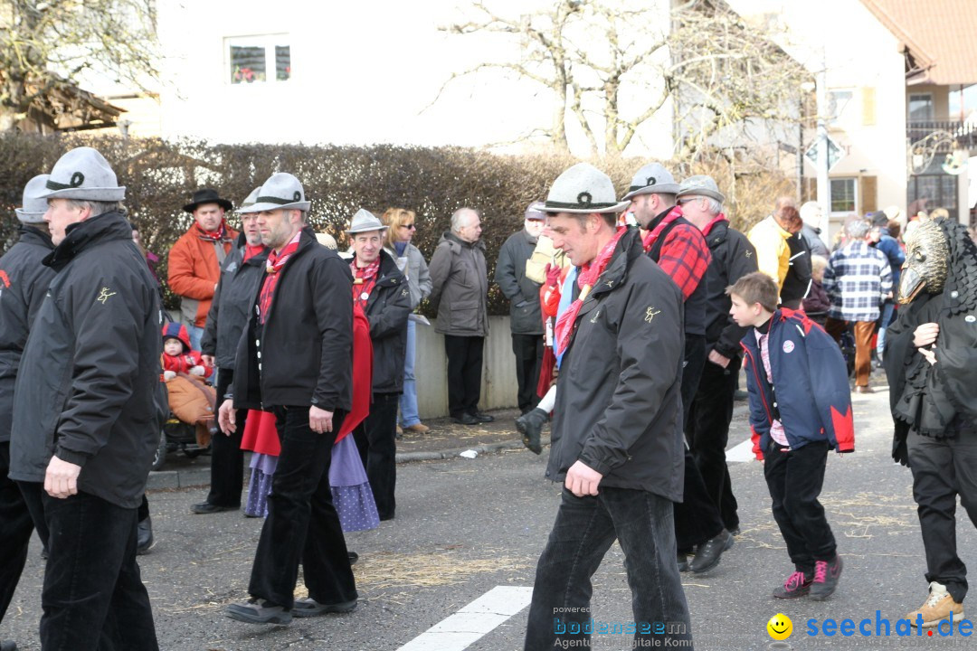 Narrentreffen - NV Kamelia: Tengen am Bodensee, 03.02.2013